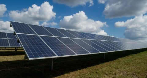 Photo of American Public Power Association Solar Panels